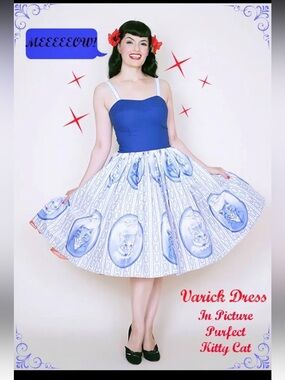 Bernie Dexter Varick Swing Dress in Picture Perfect Kitty Cat Print - Size Large